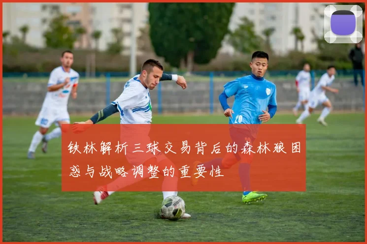 铁林解析三球交易背后的森林狼困惑与战略调整的重要性