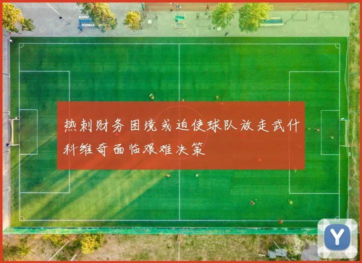 热刺财务困境或迫使球队放走武什科维奇面临艰难决策