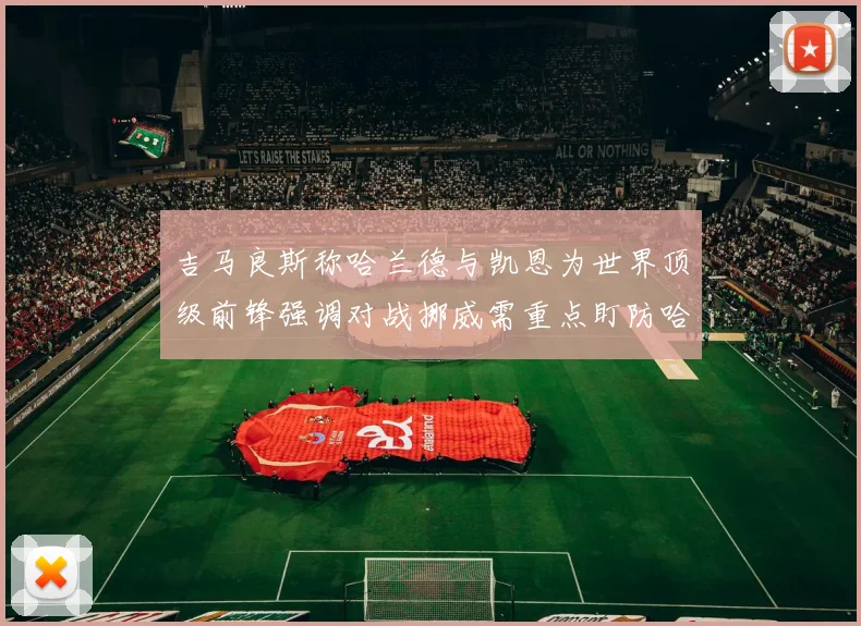 吉马良斯称哈兰德与凯恩为世界顶级前锋强调对战挪威需重点盯防哈兰德